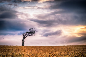 点球大战的命运，2026世界杯淘汰赛惊险刺激