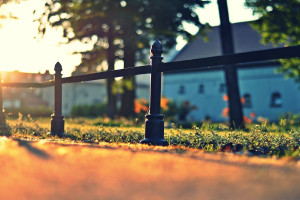 申花女足崭露头角，巾帼不让须眉，铿锵玫瑰闪耀绿茵